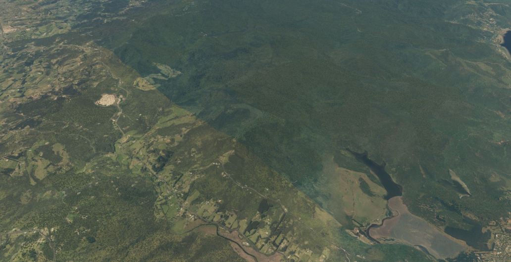 Waitakere Ranges1.JPG