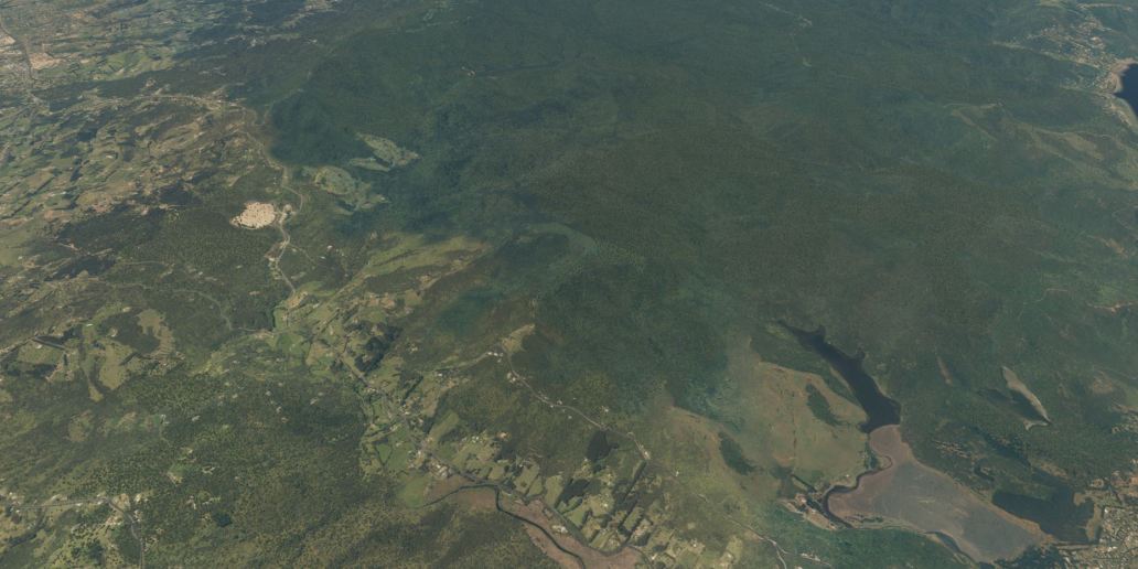 Waitakere Ranges2.JPG